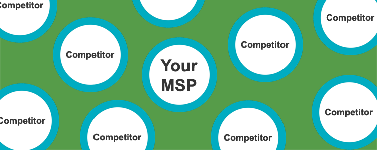 How my MSP grew monthly support to $220,000 with ITSupportPanel™